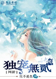 红楼之甄费奋起