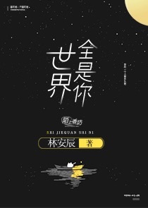 命运天盘小说下载