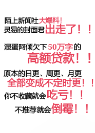 对此小说无语了