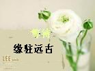 合肥大药房