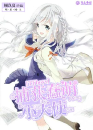 天外英雄之竭力征服