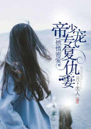 小说姻缘簿系列