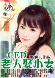 荣耀法则在线观看完整