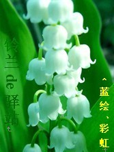 大佬你马甲又被拆了