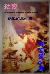 玄幻搞笑言情小说