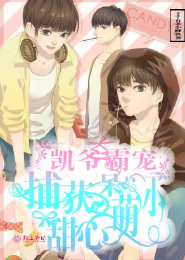 白夜宠物店
