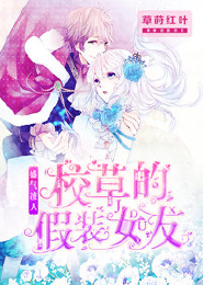 轻羽上阳光