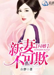 布衣官道无广告