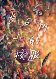 易烊千玺小说娱乐圈