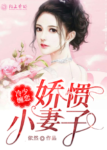 穆连成纪可心小说免费阅读