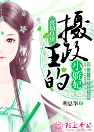 移花接木4.1