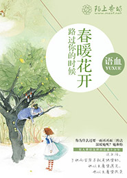 十二金钗系列小说