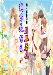 我的美女总裁妻