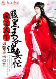 魔医兵王小说