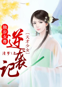 宠物小精灵之小光传奇