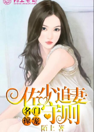 女主角是个女强人的小说