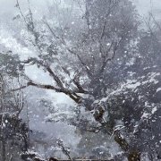 至尊驱魔之雪浅天涯