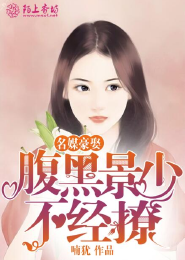 重生之毒妃囚世