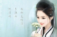 郧西七夕美人茶