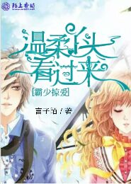 三国之兵临天下高月