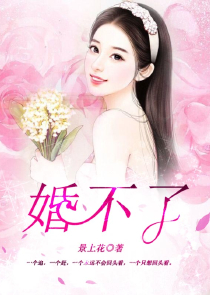 海贼之虚圈系统