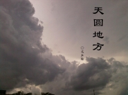 美女总裁的绝品侍卫