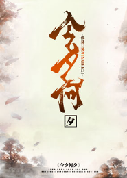 机师传说小说