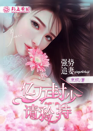 抢夫上门：麻辣太子妃