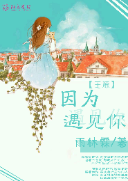 斯德哥尔摩综合症bg小说