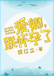 2017重生言情