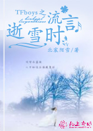 宫廷江湖的小说