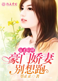 风之恋歌