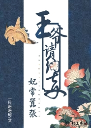 桂雏菊出场