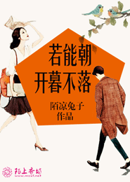 路飞的姐姐