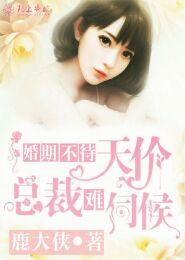 乱世男儿小说