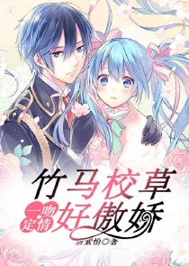 极品风水师无弹窗