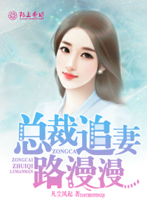 伪妆记