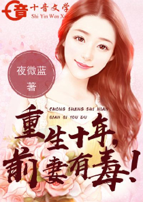 公系系列第一部