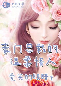 总裁与灰姑娘的小说