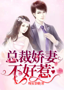 特种兵老公闪婚闪孕