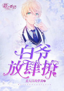 电脑端的看小说软件