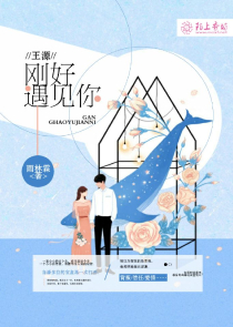 精灵纪元：流浪者