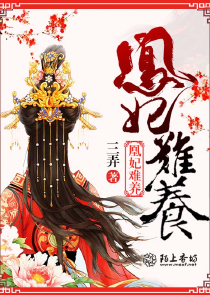 武力裁决所类似小说