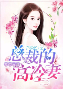 暮光之城2小说