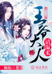 钢之魔法师小说