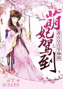 我的超神空间王道一