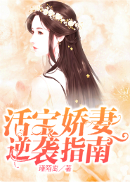 无敌魔君奶爸叶君寒