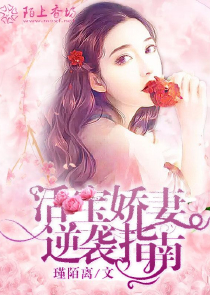 查理九世全集小说