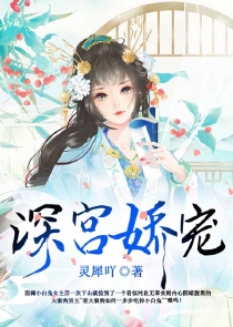 小奴婢与大少爷