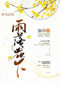 神奇宝贝大师系统